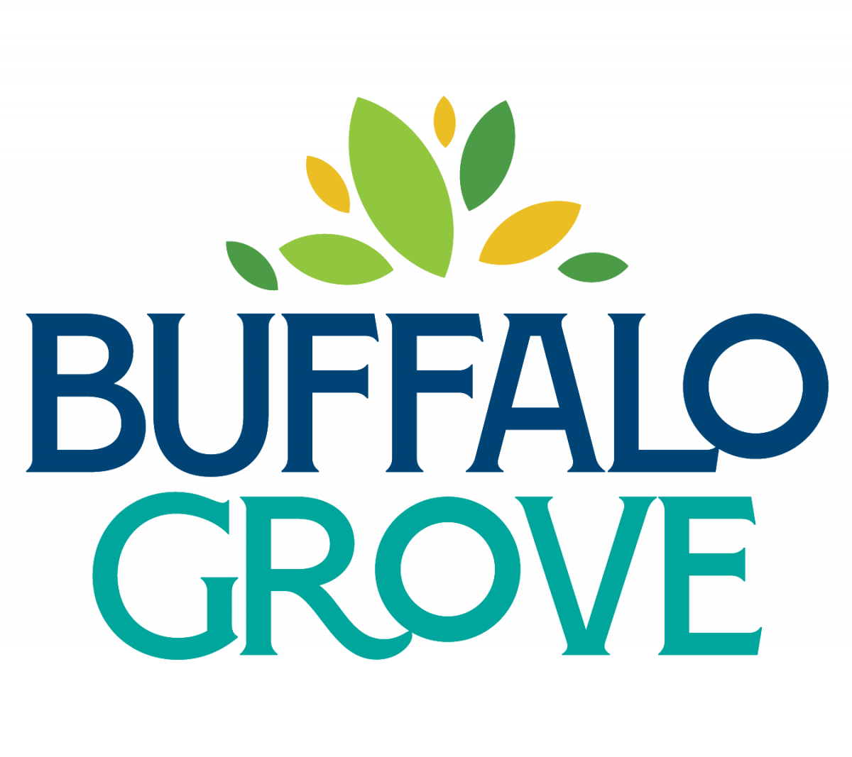 Buffalo Grove BSI Online